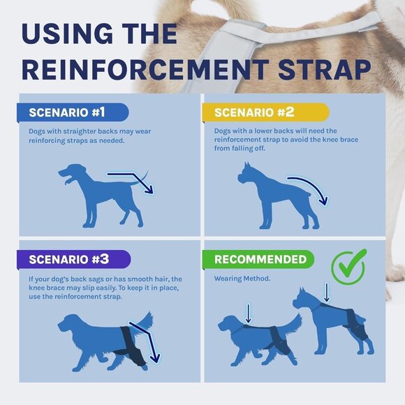 Dog Knee Brace MED Grey | ACL/CCL Tear Rear Leg Support Joint Pain relief - Picture 7 of 9